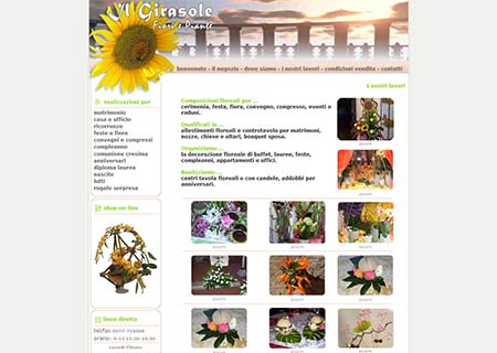 Il Girasole fiori e piante